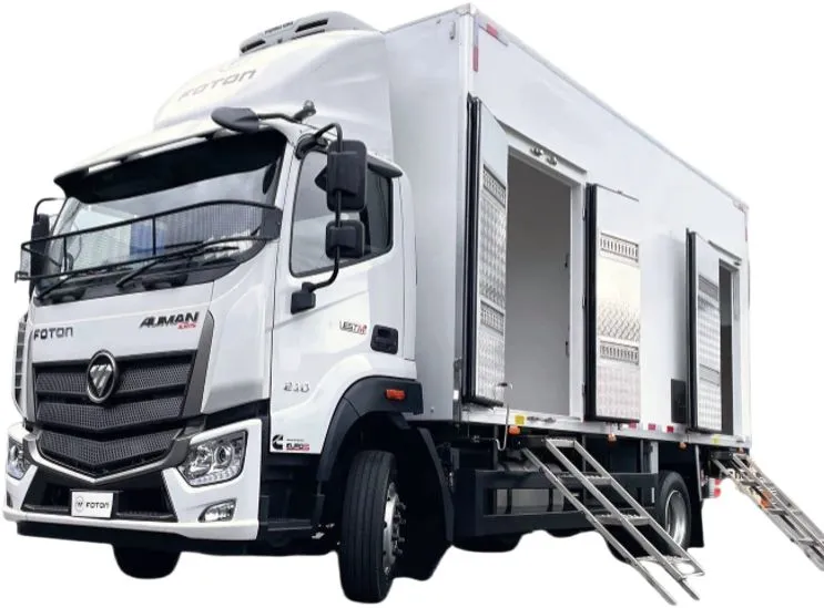 Foton AUMAN D flatbed truck 22T Diesel 4x2 Cargo truck 240hp Africa/Middle Asia
