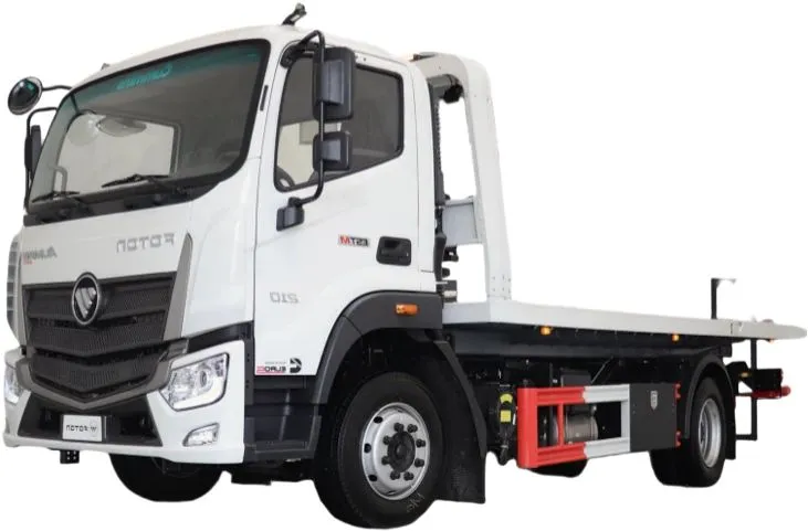 Foton AUMAN D flatbed truck 22T Diesel 4x2 Cargo truck 240hp Africa/Middle Asia