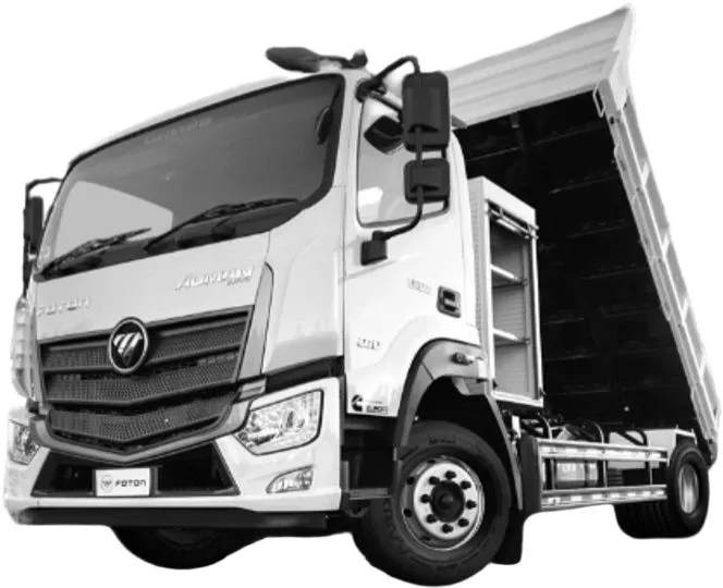 Foton AUMAN D flatbed truck 22T Diesel 4x2 Cargo truck 240hp Africa/Middle Asia