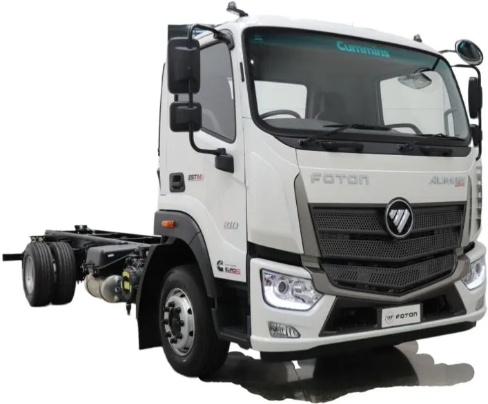 Foton Aumark EST-M 18T 4×2 medium duty cargo truck Venezuela