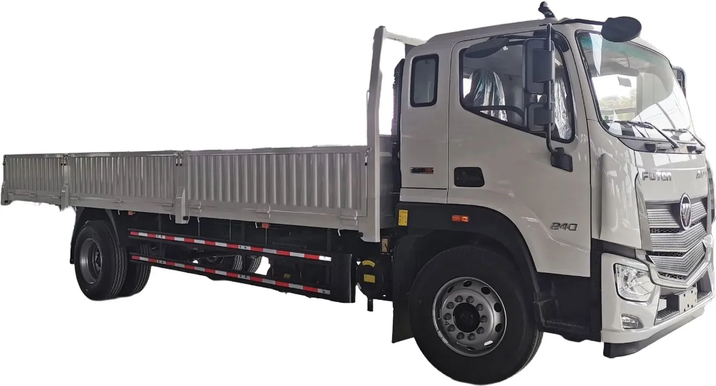 Foton Aumark EST-M 18T  4x2 245hp diesel medium duty cargo truck box body Costa Rica -carousel- 5