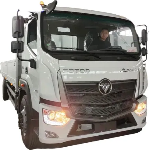 Foton Aumark EST-M 18T  4x2 245hp diesel medium duty cargo truck box body Costa Rica -carousel- 1
